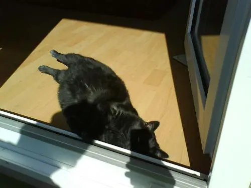Image from Cleo