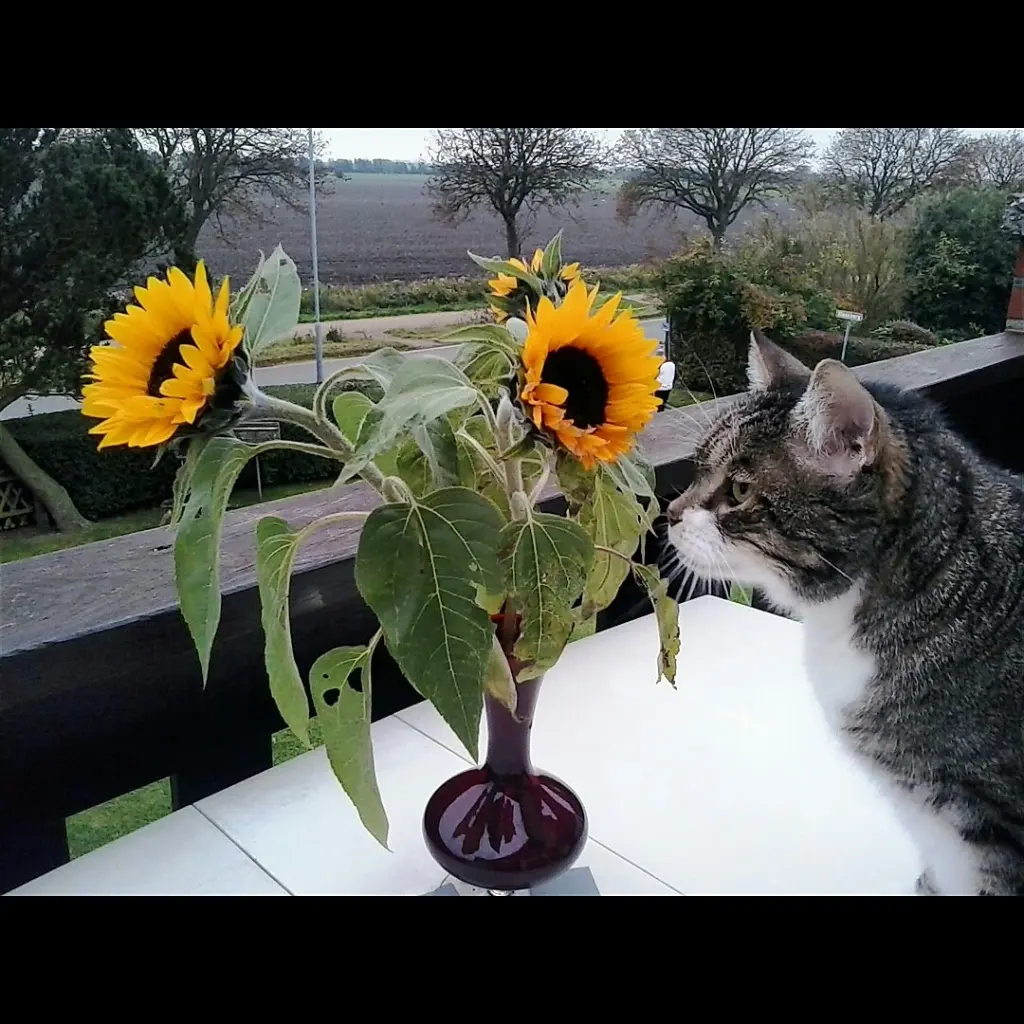 Condolence image of Lena