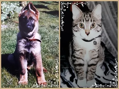 Condolence image of Reimund Bernatzki