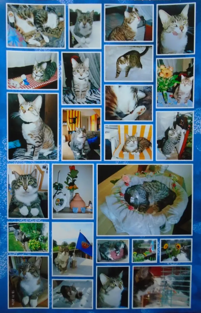 Condolence image of Reimund