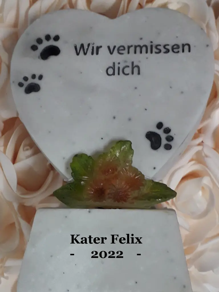 Condolence image of Reimund Bernatzki