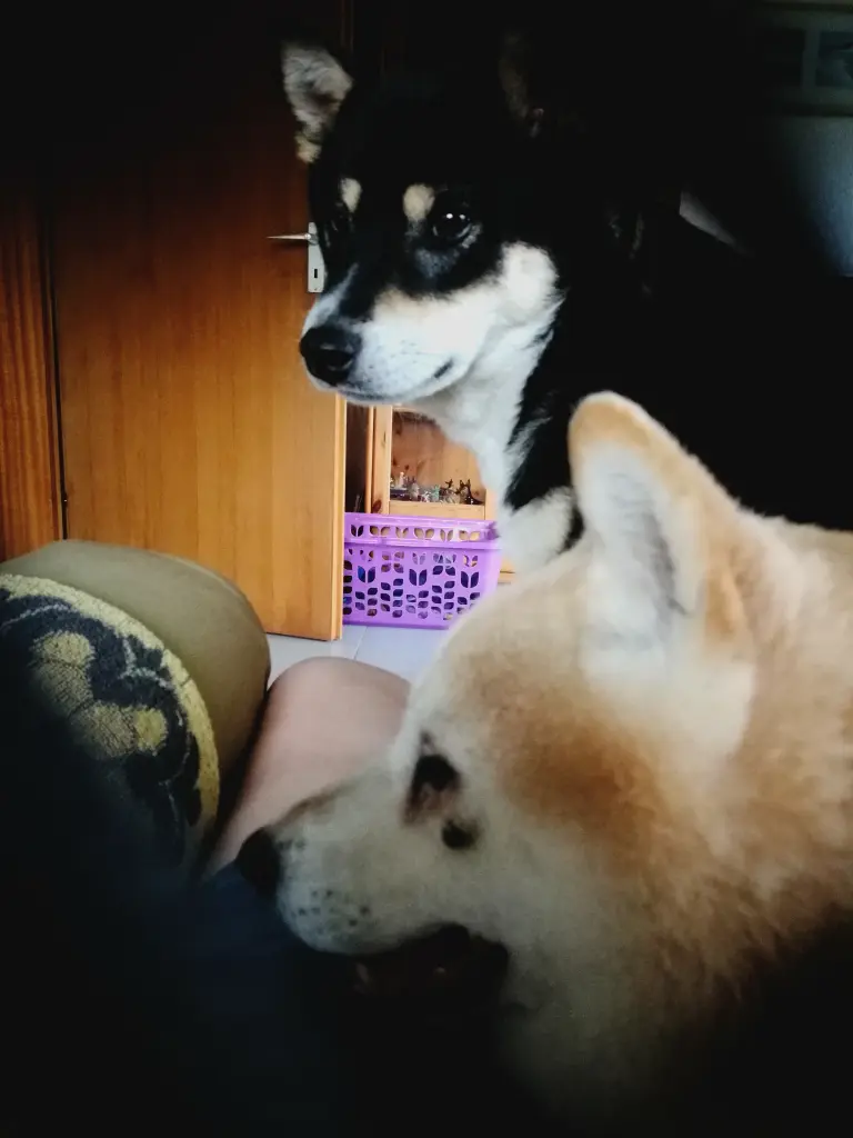 Condolence image of Claudia