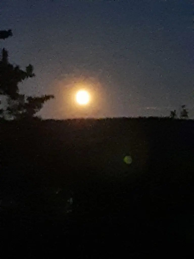 Condolence image of Claudia 