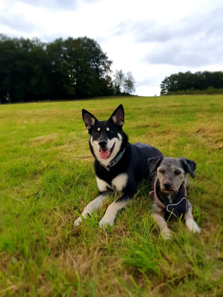 Andachtsbild von Novaly & Ricky