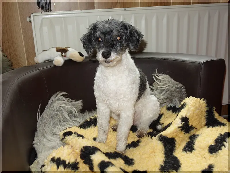 Andachtsbild von Christa Schossee