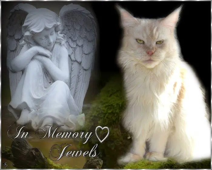 Image from Jewels Sugar Pan