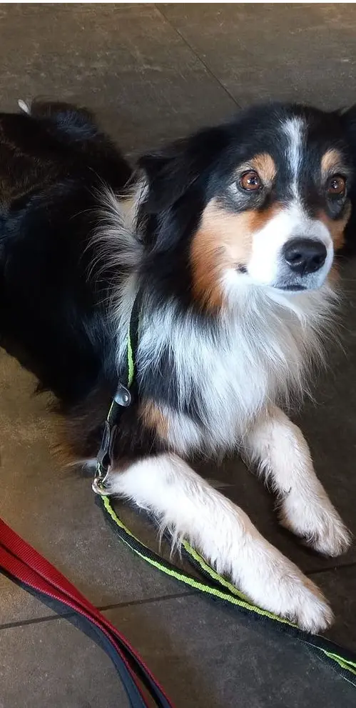 Andachtsbild von Susanne  Rechten