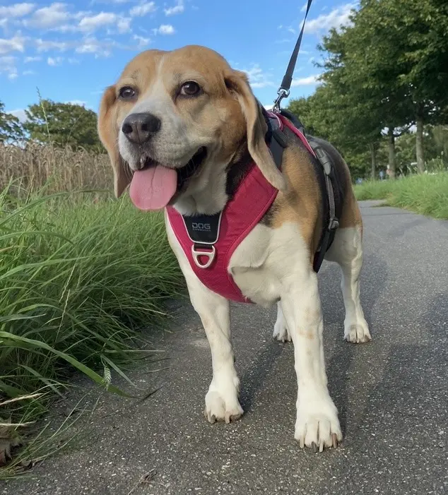 Andachtsbild von Wenke mit Lilli im❤️