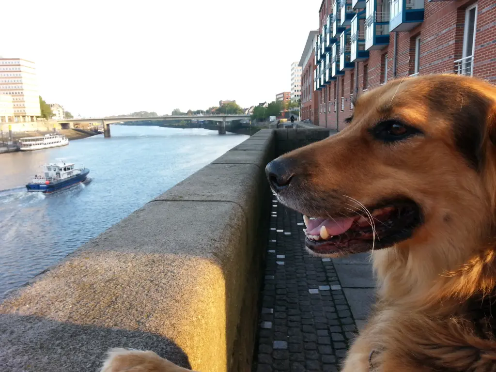 Andachtsbild von Kerstin