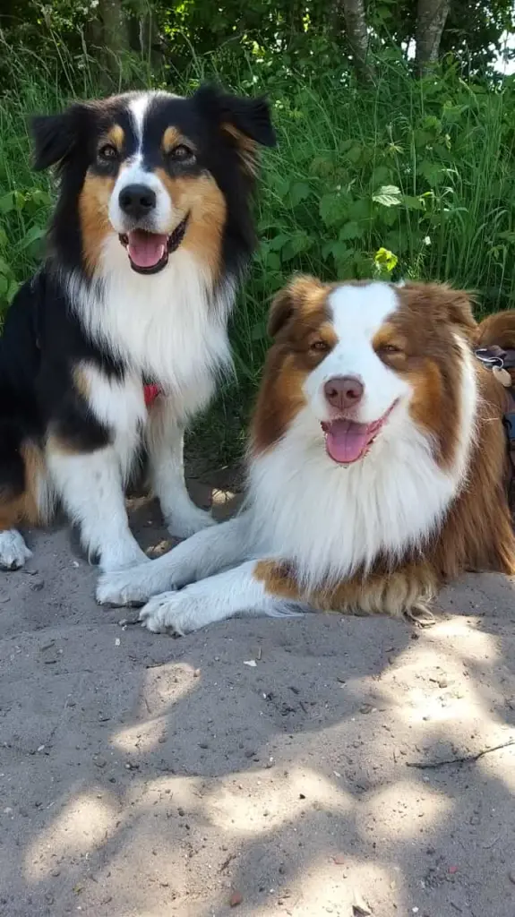 Andachtsbild von Claudia und Jens Mühlenbeck