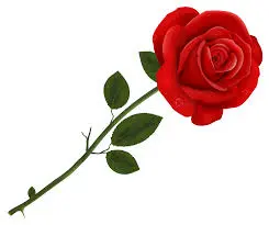 Condolence image of Brigitte