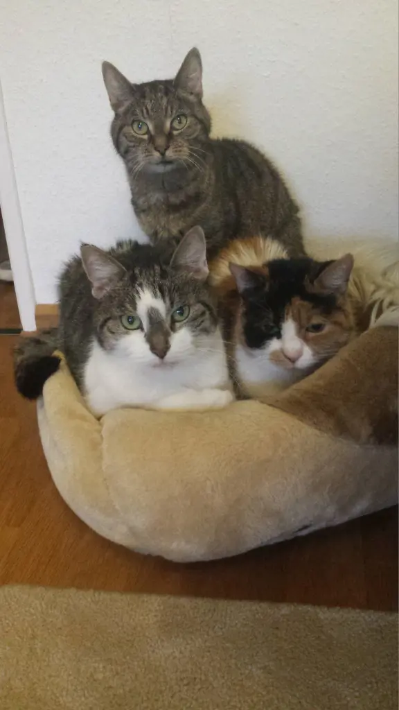 Image from Nicki
