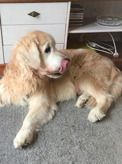 Condolence image of Eiko