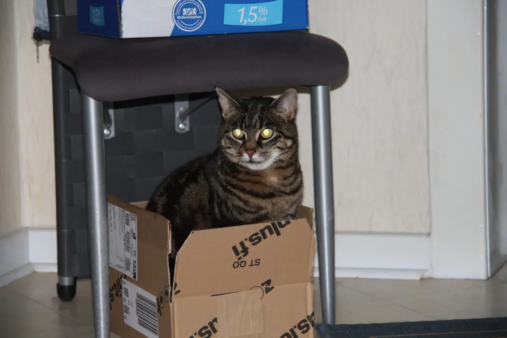 Condolence image of FRAUCHEN