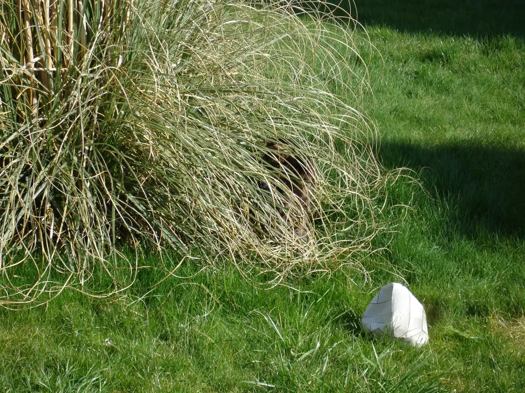 Condolence image of FRAUCHEN