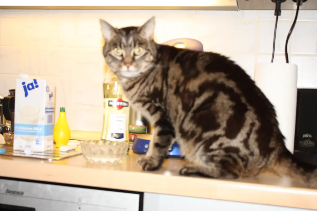 Condolence image of FRAUCHEN