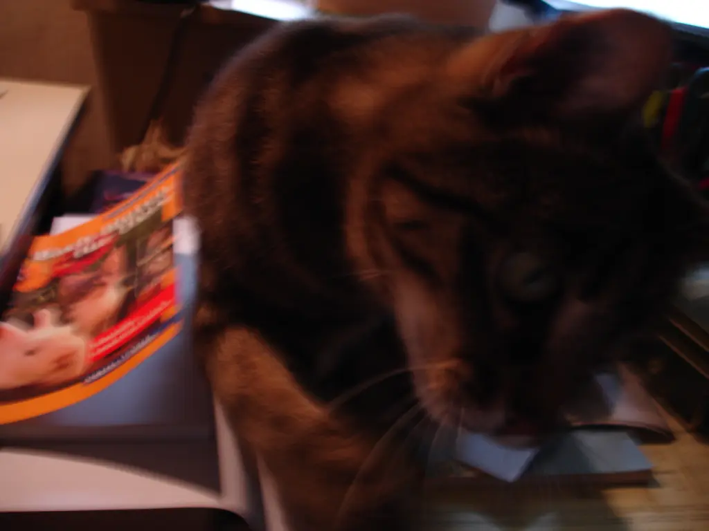 Condolence image of FRAUCHEN