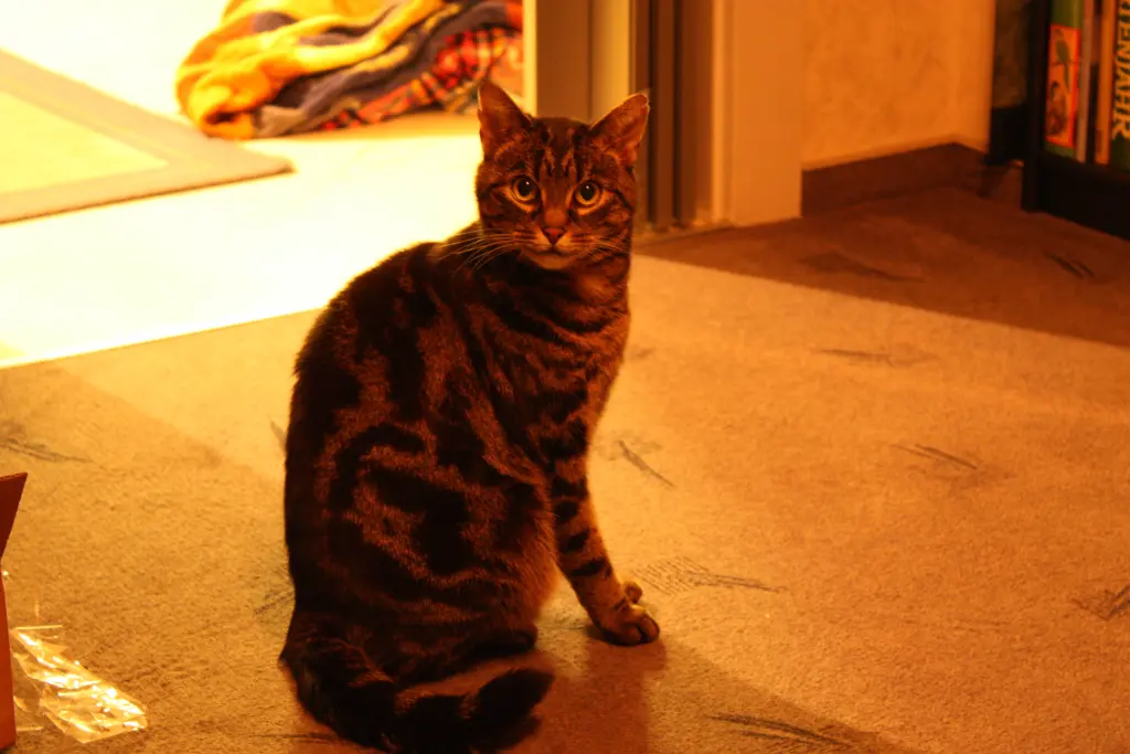 Condolence image of FRAUCHEN