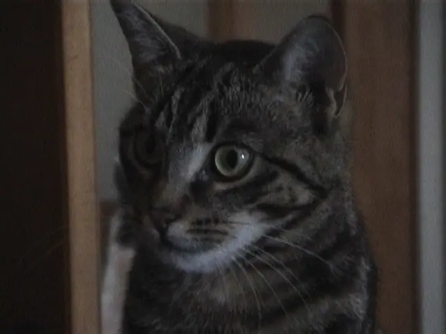 Condolence image of FRAUCHEN