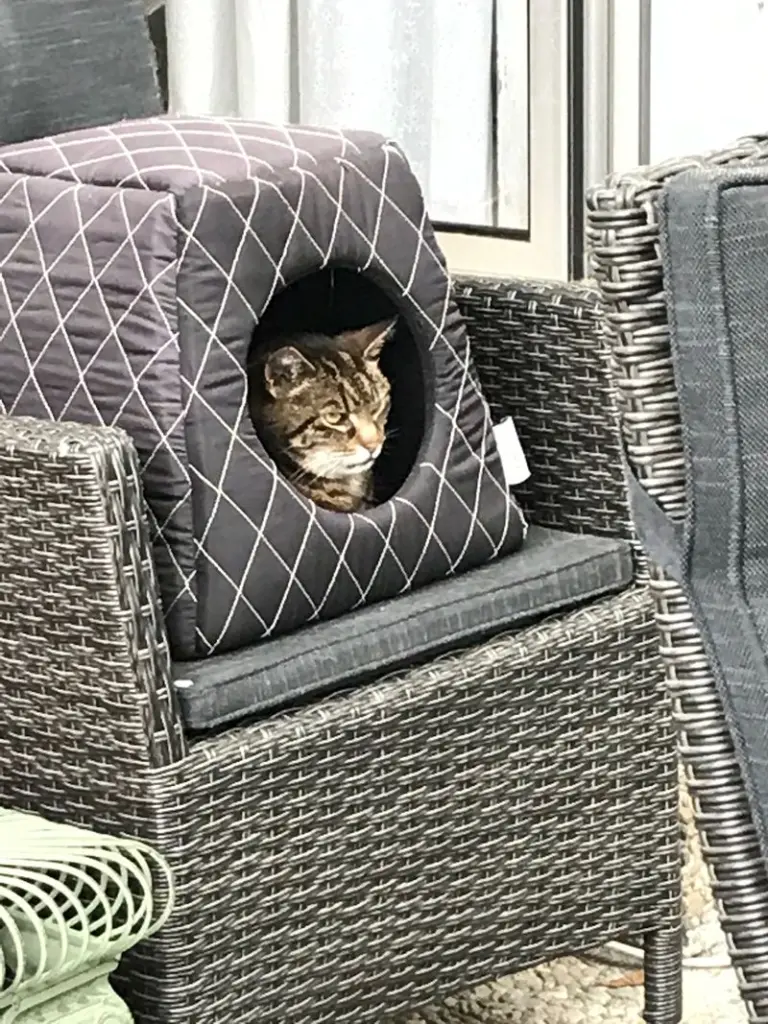 Condolence image of Frauchen