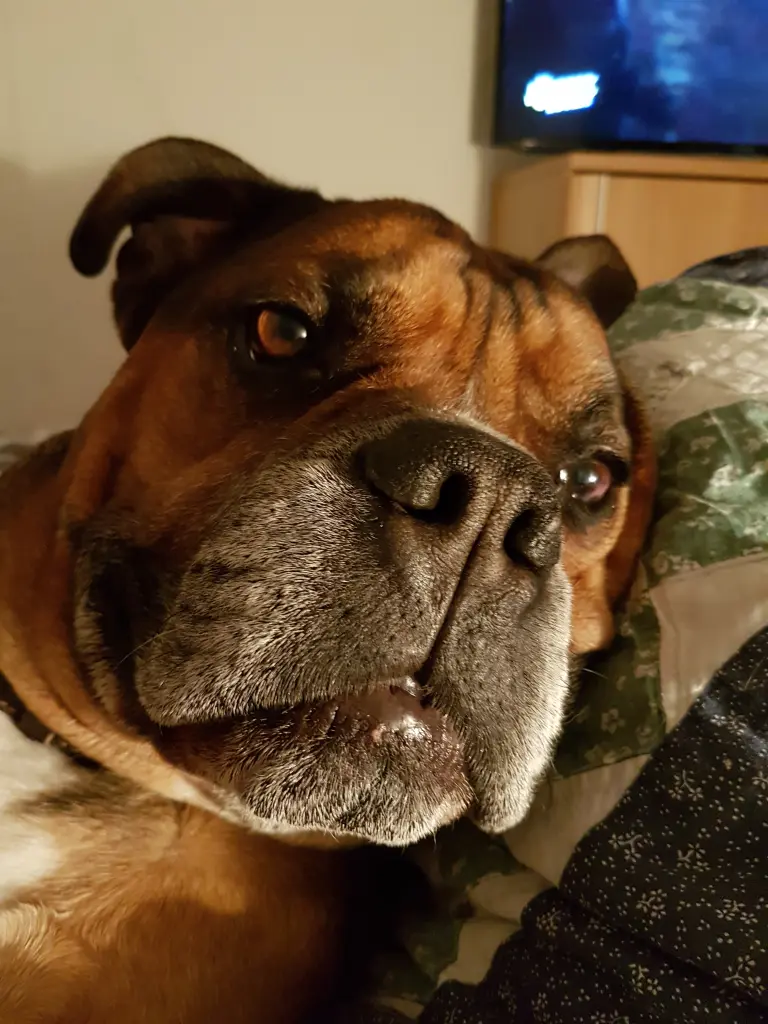 Condolence image of Alexandra