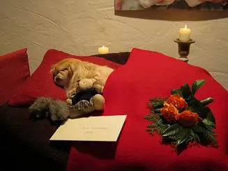 Image from ,,unser Beileid an Alle die hier Trauer haben,,
