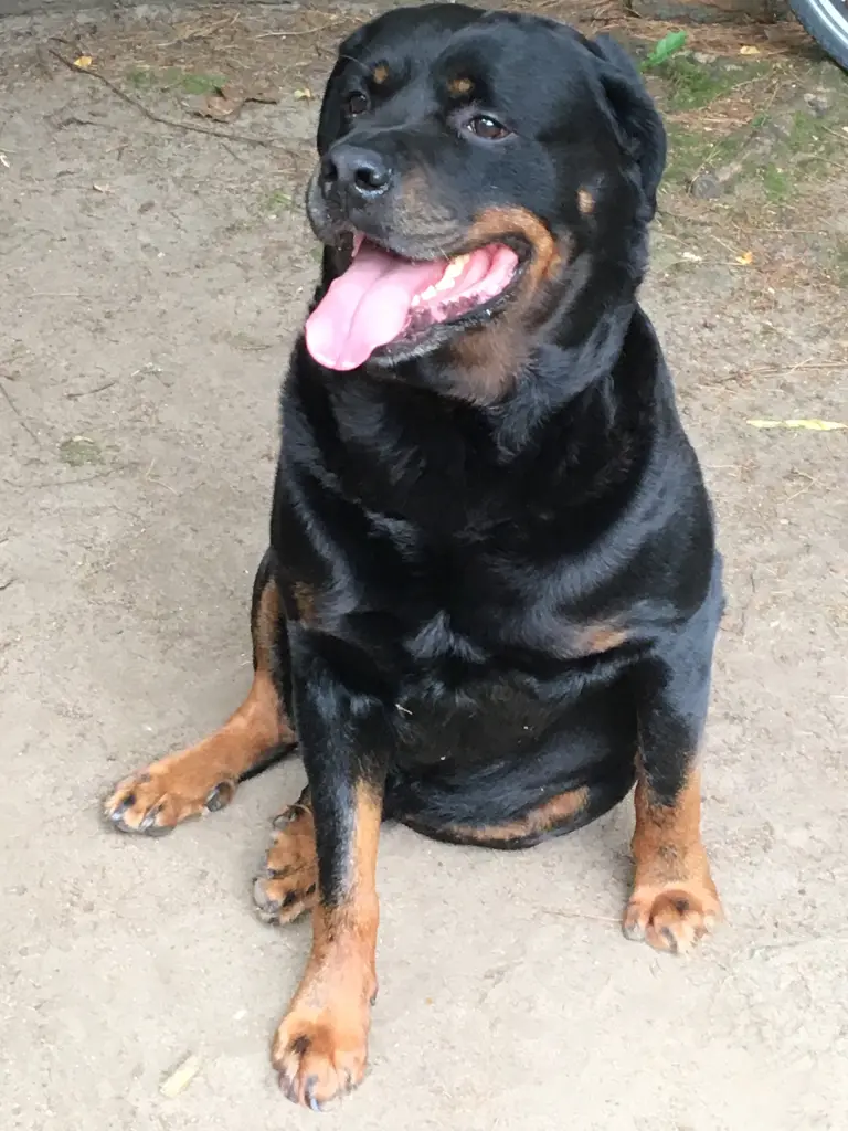 Condolence image of Pertra&Walter Zahn