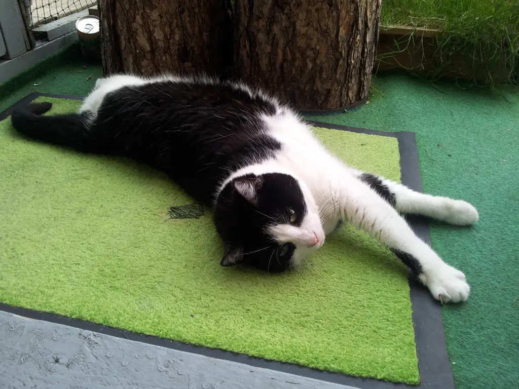 Andachtsbild von Ilse