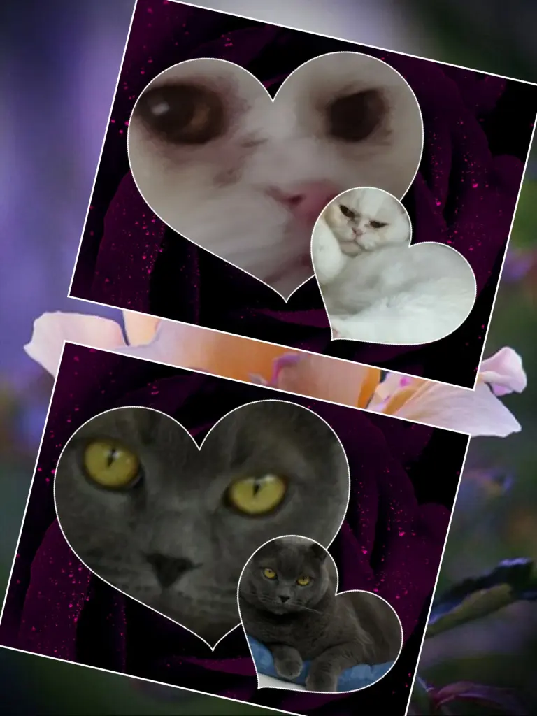 Andachtsbild von Marion