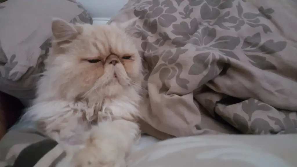 Andachtsbild von Sandra mit Garfield im Herzen