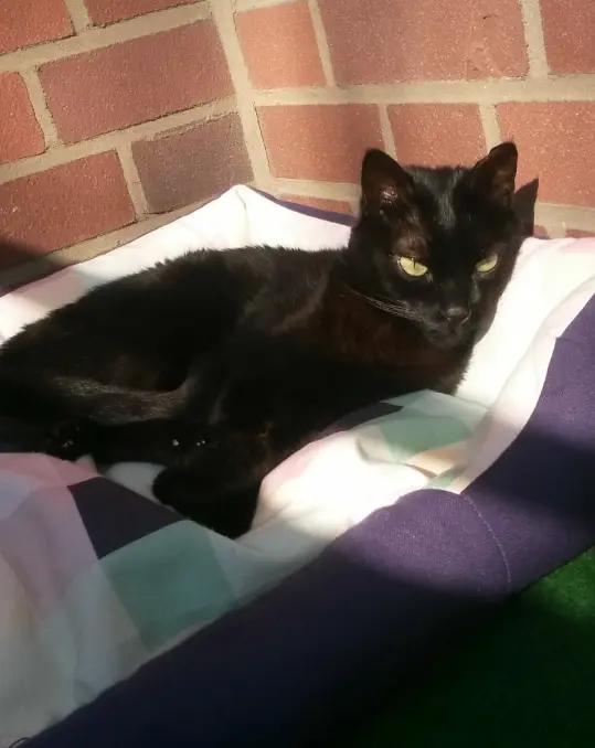 Andachtsbild von Anja mit Joy im Herzen ❤