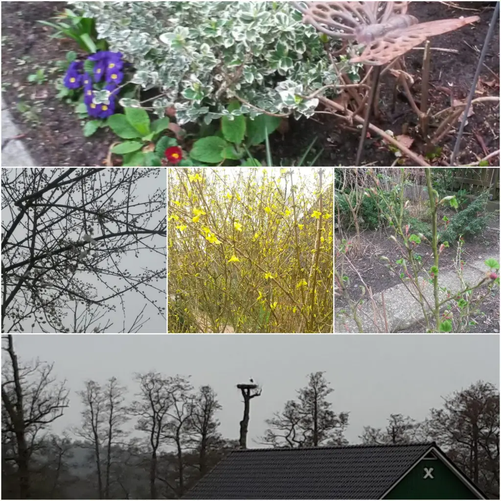 Andachtsbild von Eike und Edeltraud mit Mulle Miezi und Jonny tief im Herzen 