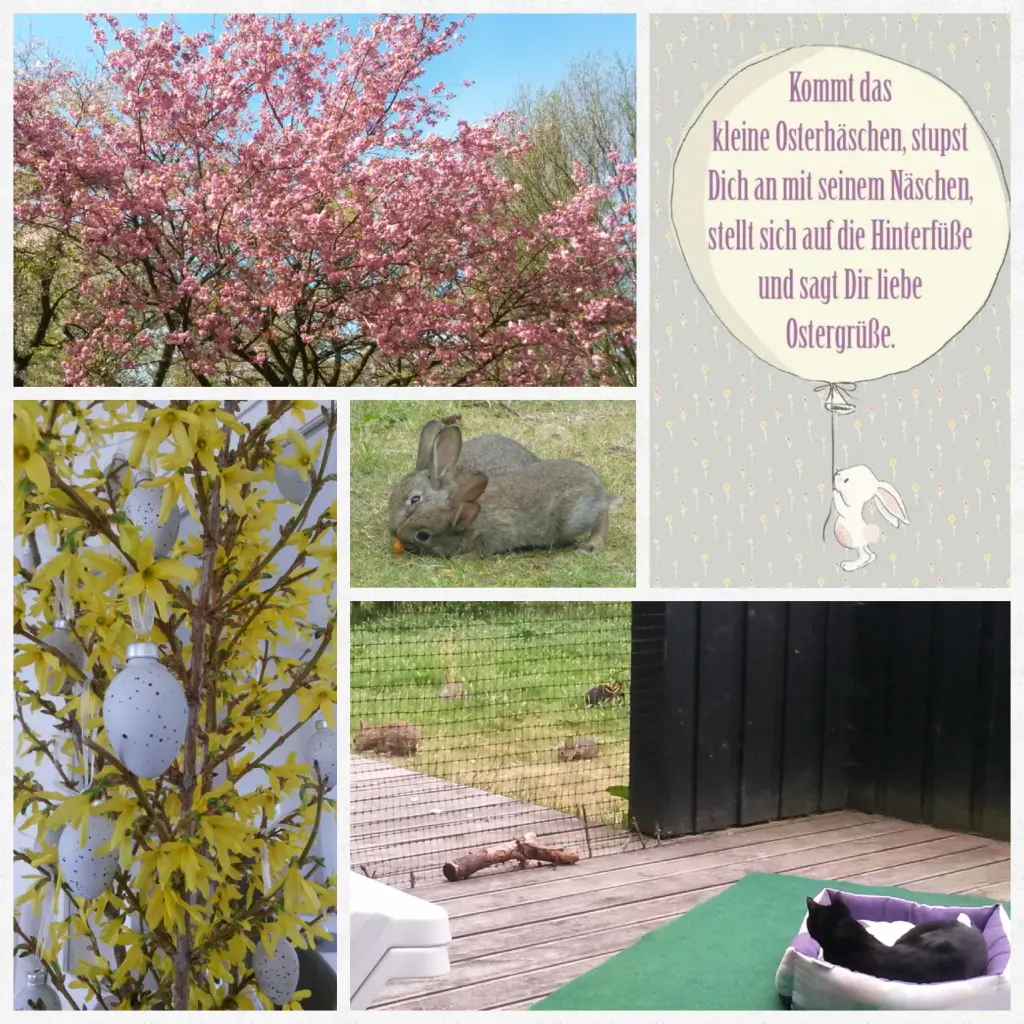 Andachtsbild von Anja mit Joy im Herzen ❤