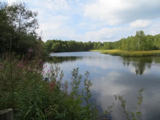 Andachtsbild von Uschi mit Seelenkatzen Jojo und Merlin