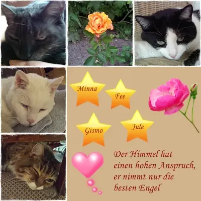 Andachtsbild von Ilse mit Jule, Gismo, Fee und Minna tief im Herzen