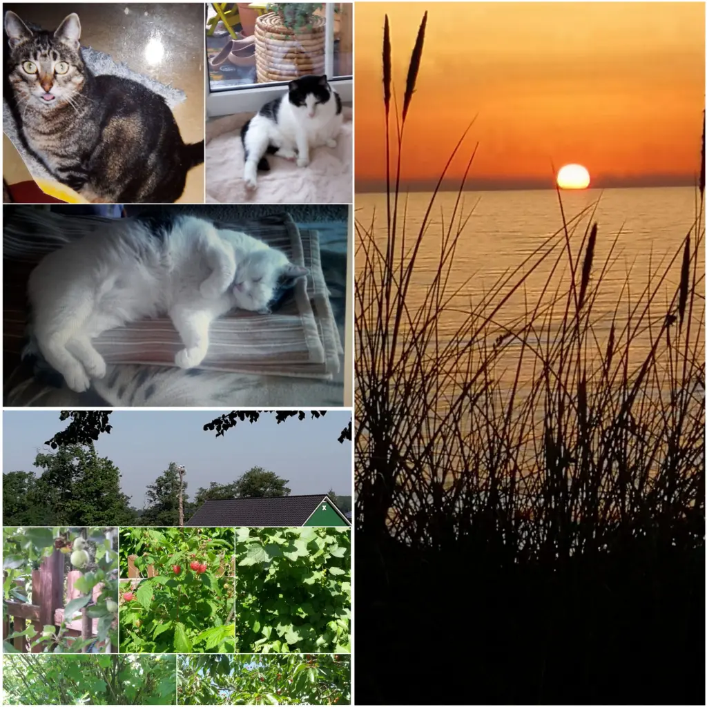 Andachtsbild von Eike und Edeltraud mit Mulle Miezi und Jonny tief im Herzen ♥️