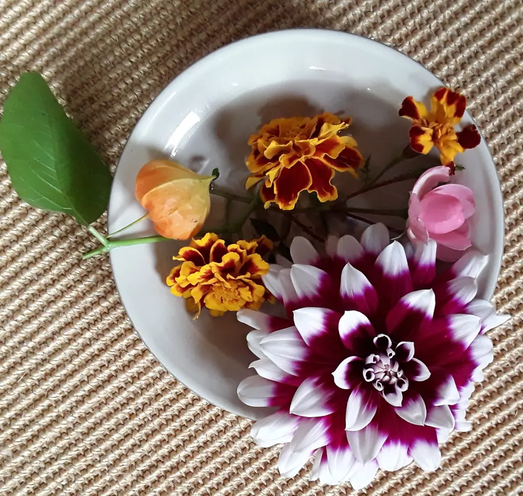 Andachtsbild von Eike und Edeltraud mit Mulle Miezi und Jonny tief im Herzen ♥️