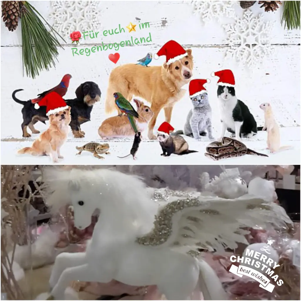 Andachtsbild von Eike und Edeltraud mit Mulle Miezi und Jonny tief im Herzen ♥️