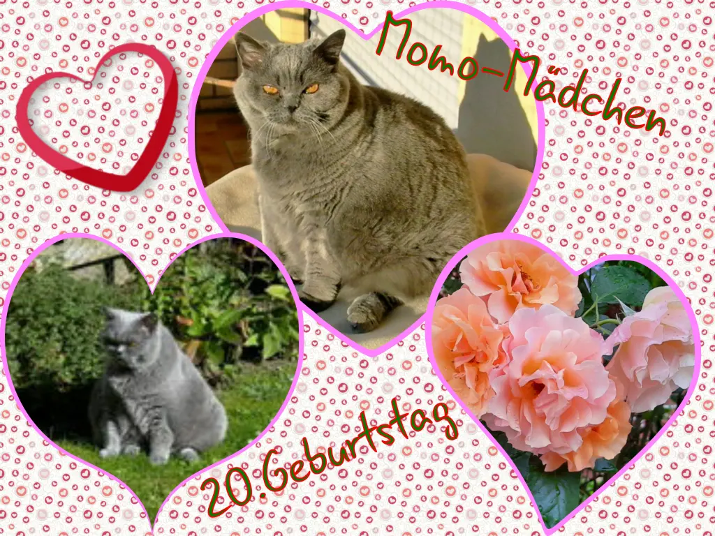 Andachtsbild von Eike und Edeltraud mit Mulle, Miezi, Jonny, Felix, Lemmi und Tommi tief im Herzen ❤❤❤❤❤❤