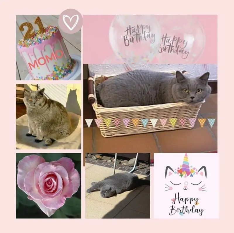 Andachtsbild von Rosen zum 21. Geburtstag für Momo (nachträglich)