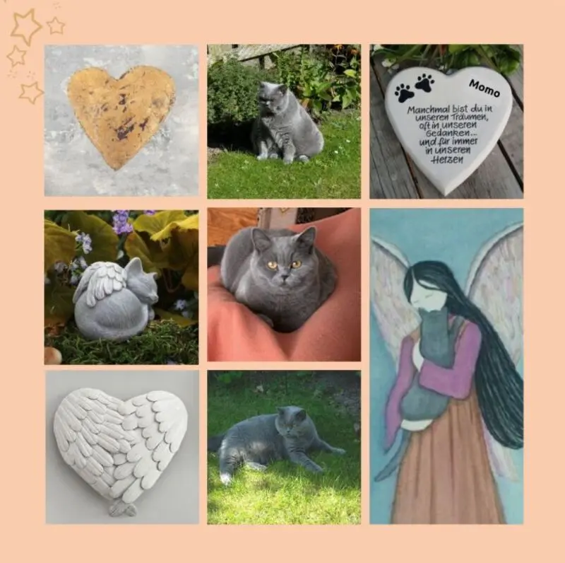 Andachtsbild von Eine Rose zu Momos 4. Sternchentag