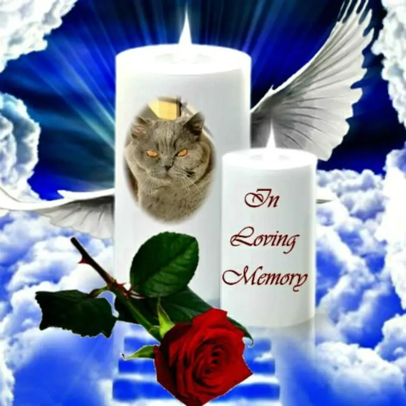 Andachtsbild von ❤️❤️❤️❤️❤️❤️❤️❤️❤️❤️❤️❤️❤️❤️