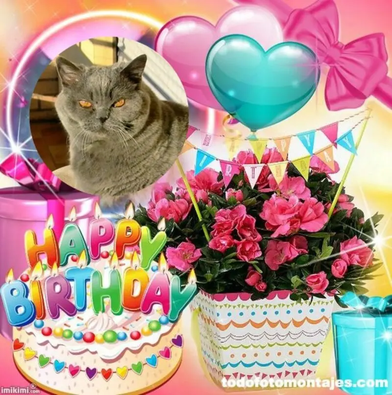 Andachtsbild von 21. Geburtstag❤️❤️❤️❤️❤️❤️❤️❤️❤️❤️❤️❤️❤️❤️❤️❤️❤️❤️❤️❤️❤️