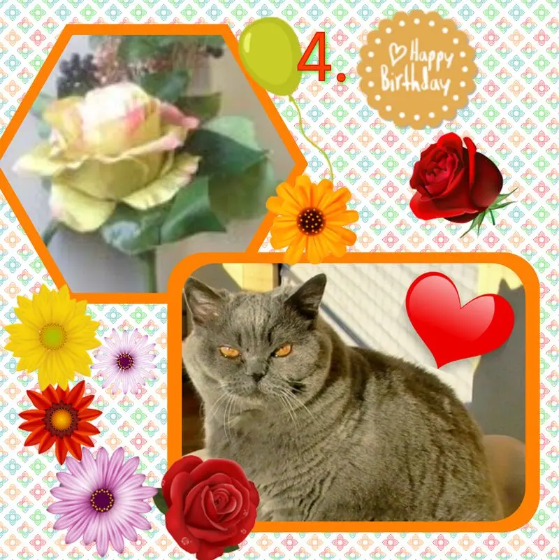 Andachtsbild von ❤Eike und Edeltraud mit unseren sieben Sternchen tief im Herzen ❤ ❤ ❤ ❤ ❤ ❤ ❤ 