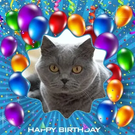 Andachtsbild von 22.Geburtstag❤️❤️❤️❤️❤️❤️❤️❤️❤️❤️❤️❤️❤️❤️❤️❤️❤️❤️❤️❤️❤️❤️