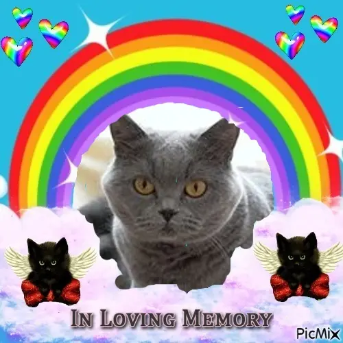 Andachtsbild von 5.Sternchen❤Gedenktag❤❤❤❤❤