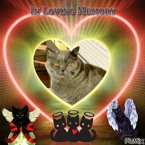 Andachtsbild von 5.Sternchen❤Gedenktag❤❤❤❤❤