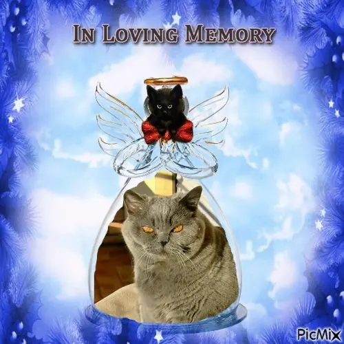 Andachtsbild von Fur Momolein❤von Misiu❤❤❤