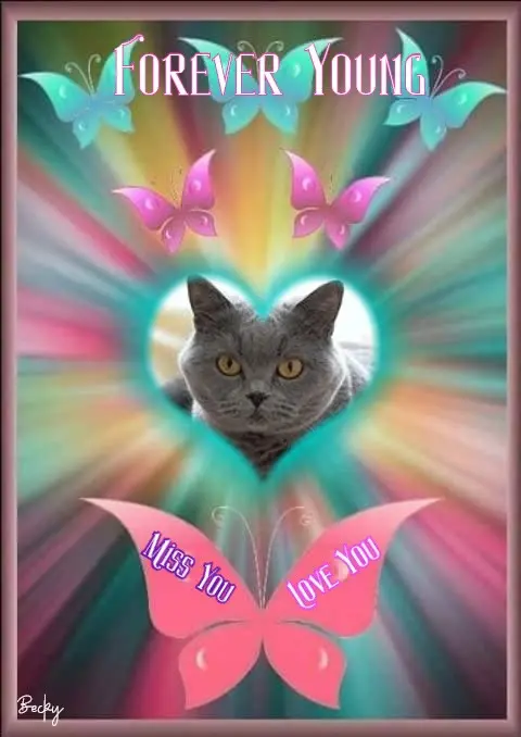 Andachtsbild von ❤️❤️❤️❤️❤️❤️❤️❤️❤️❤️