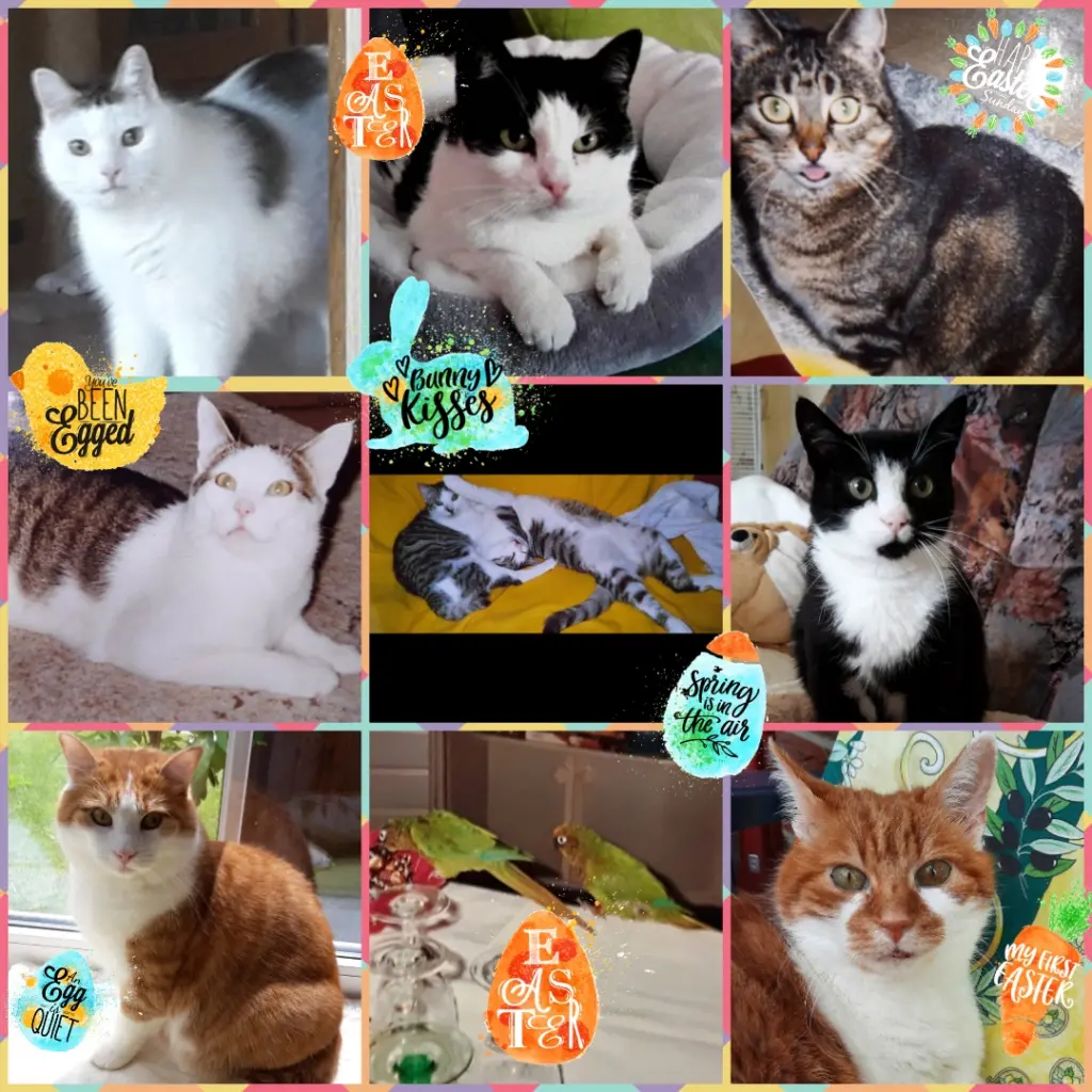 Andachtsbild von ❤️Frohe Ostern ❤️